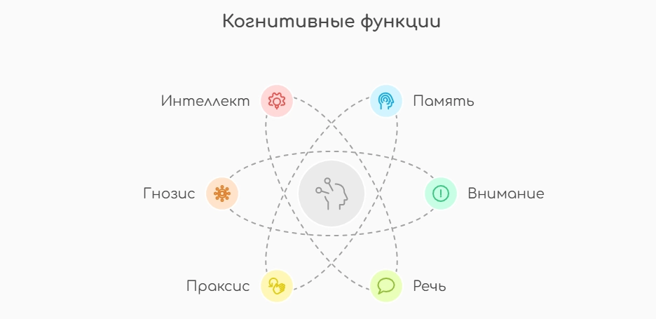 Когнитивные функции (инфографика)